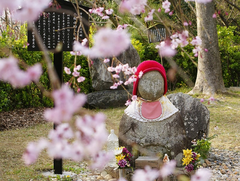 二村山の桜写真