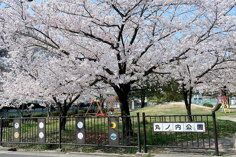 丸ノ内公園の桜写真