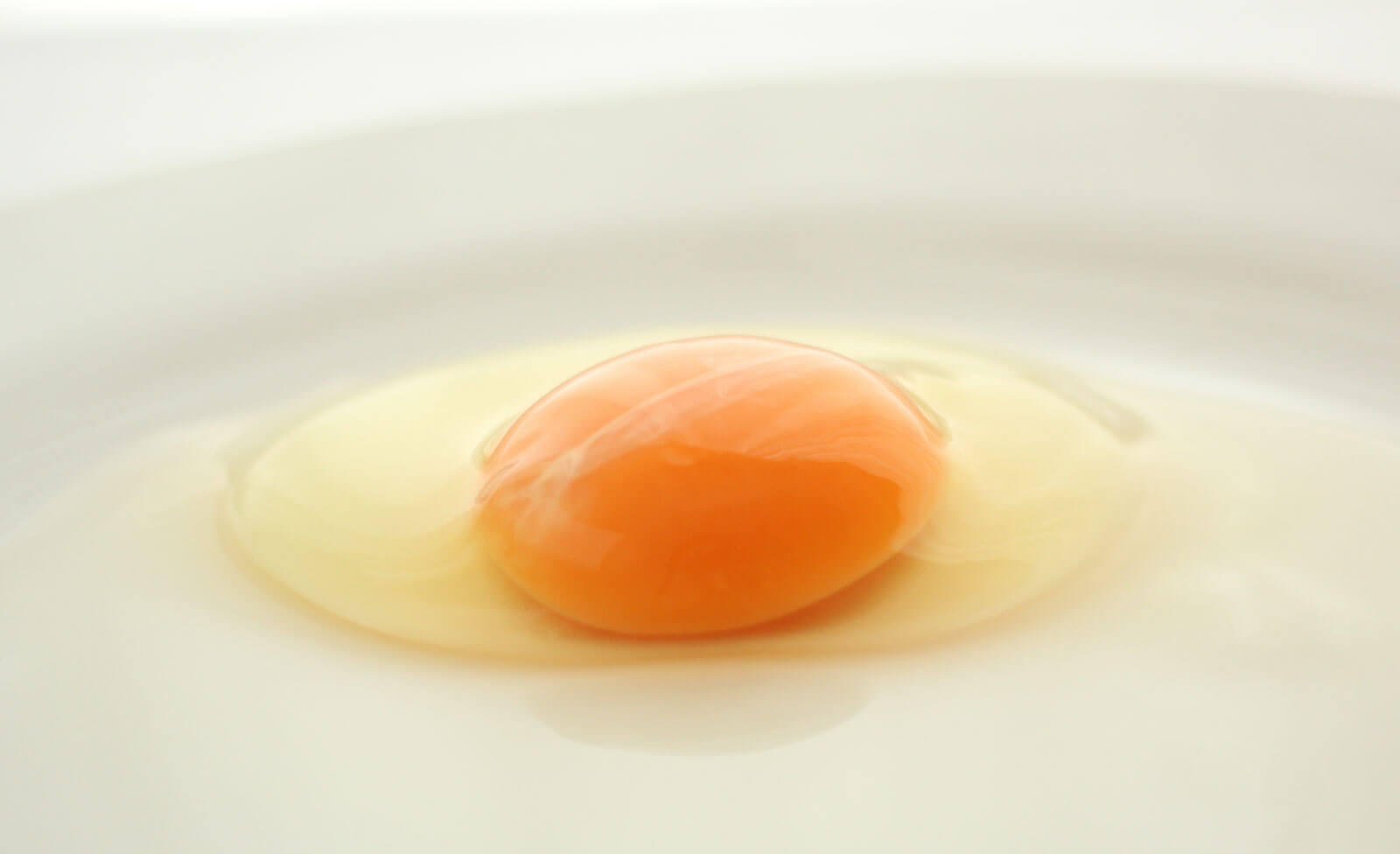 野村たまご／喫茶チャンス　ぷっくらと濃い黄身が盛り上がった卵
